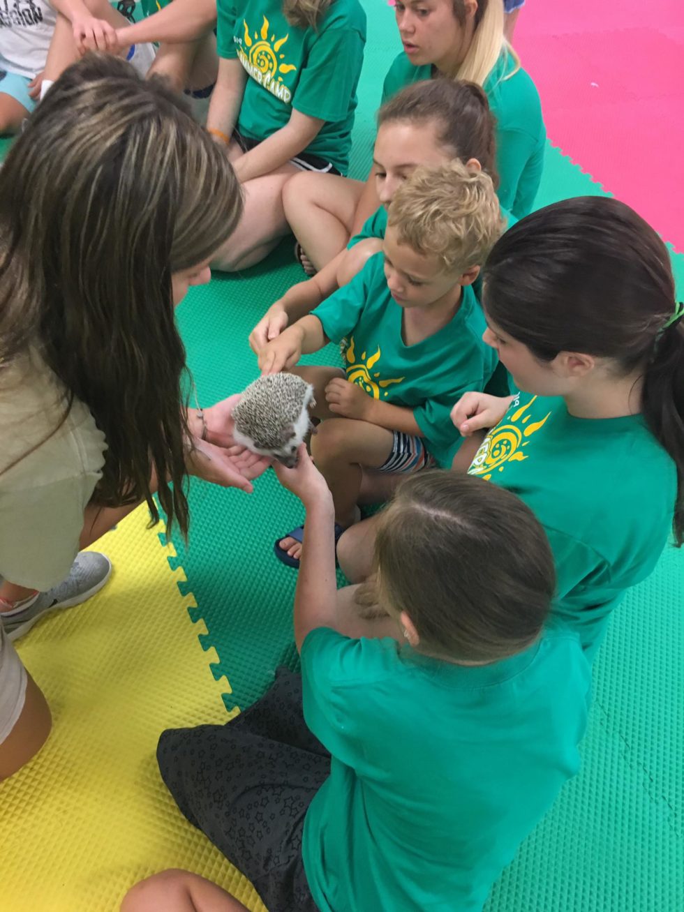 Parks and Recreation City of Pearl